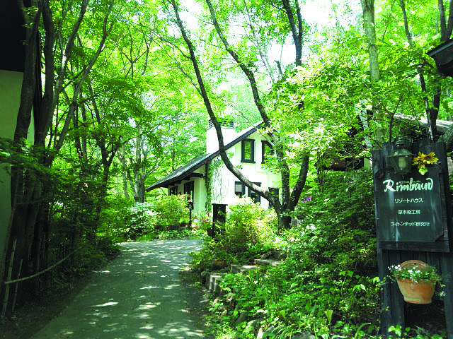 モロアの森 ランボォ 八ヶ岳おすすめスポット 公式 八ヶ岳ウォークweb